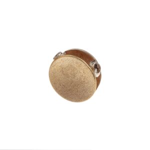 Gold and Silver Clasp